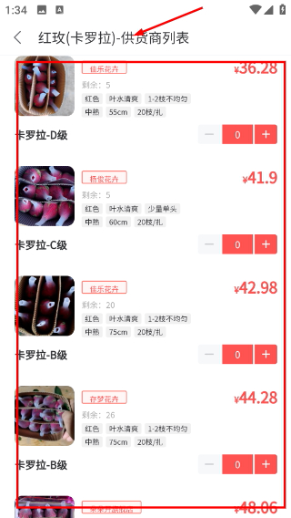 嘉佳花卉鲜花批发一件代发