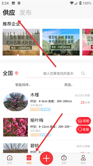 苗木网app