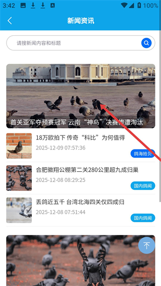 中鸽网直播app下载