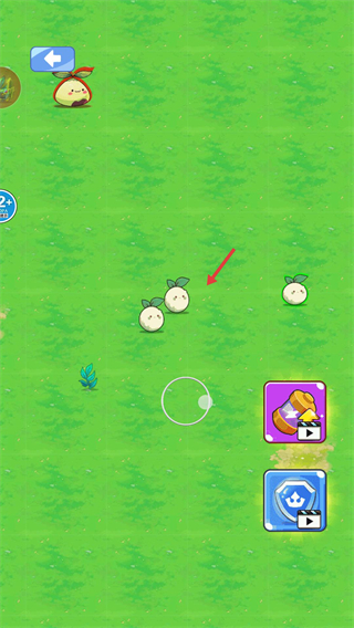 小马卡收集大师