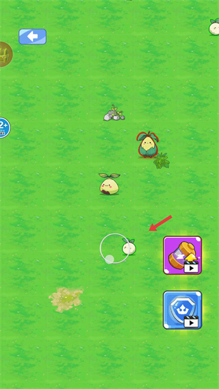 小马卡收集大师