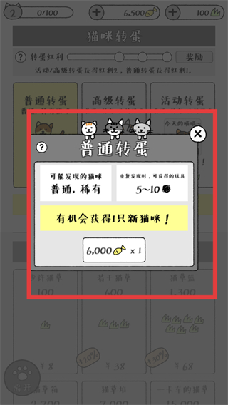 猫咪真的很可爱