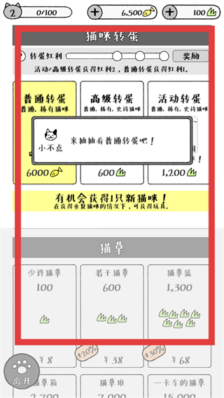 猫咪真的很可爱