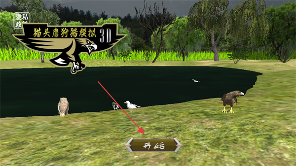 3D猫头鹰狩猎模拟