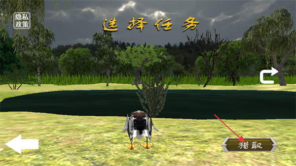 3D猫头鹰狩猎模拟