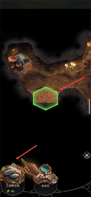 小小蚁国手机版