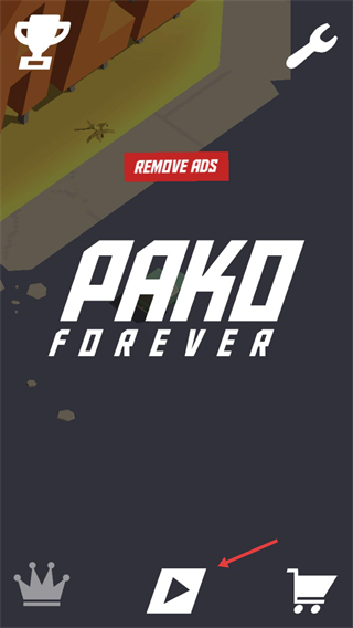 pakoforever中文版