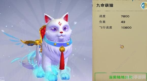 萌猫保卫战：攻略大全与游戏技巧