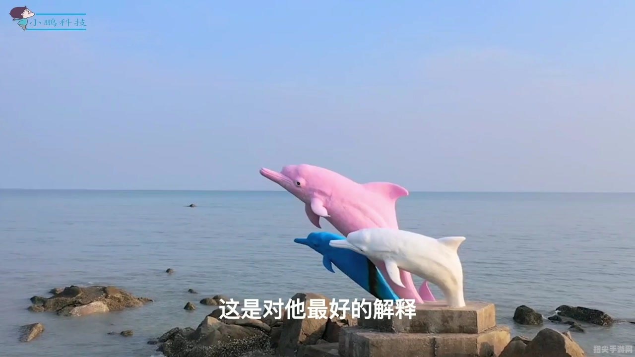 探秘粉红瓶鼻海豚的奇幻世界，亲密互动乐趣多