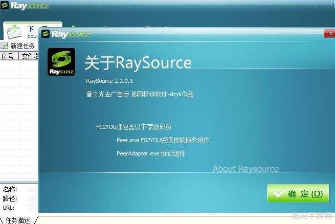 Raysource深度解析与全方位使用攻略