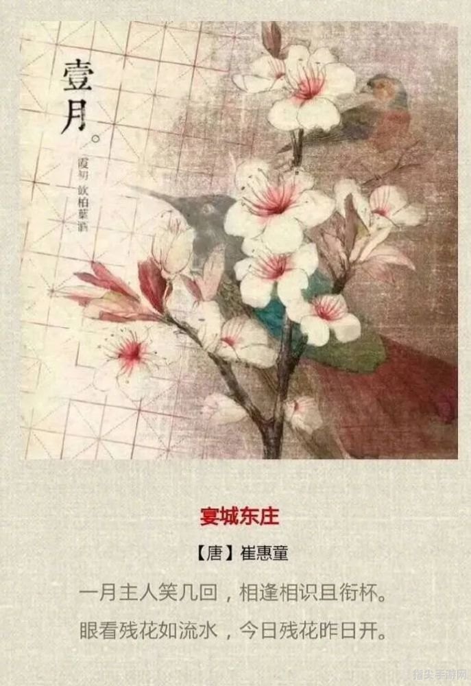 红瘦揭秘：探寻古诗中的花卉之谜