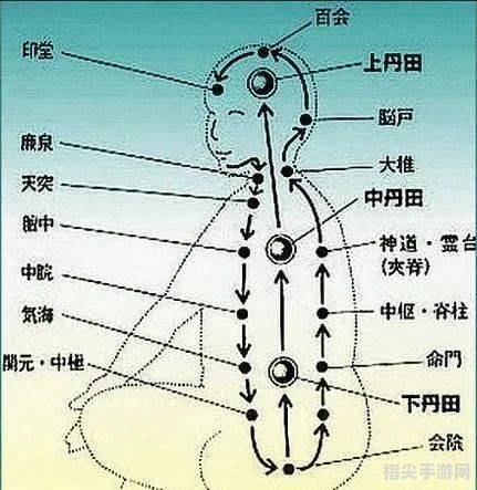 内丹摆放位置全解析：手把手教你玩转内丹布局