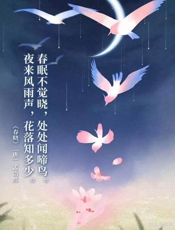 夜来风雨声，揭秘成语之谜