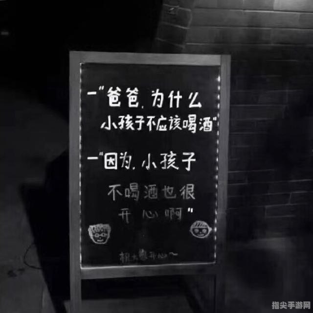 深夜独享：那些适合一个人静静品味的软件