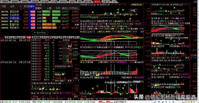 股市风云：模拟炒股实战攻略