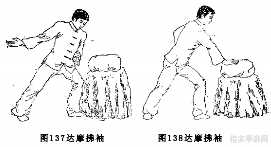 大力金刚掌：威猛掌法修炼指南