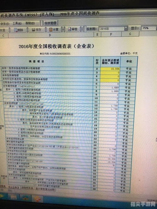 全国税收调查表填写攻略与玩法